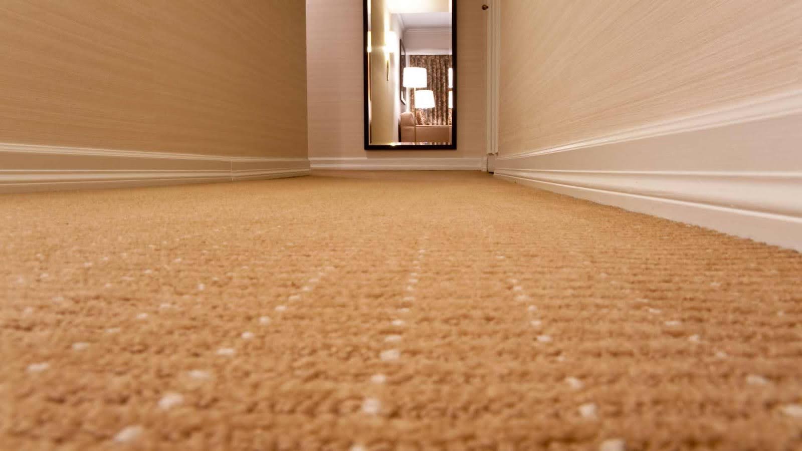 Low-angle view of a carpeted hallway with walls and mirror in the background