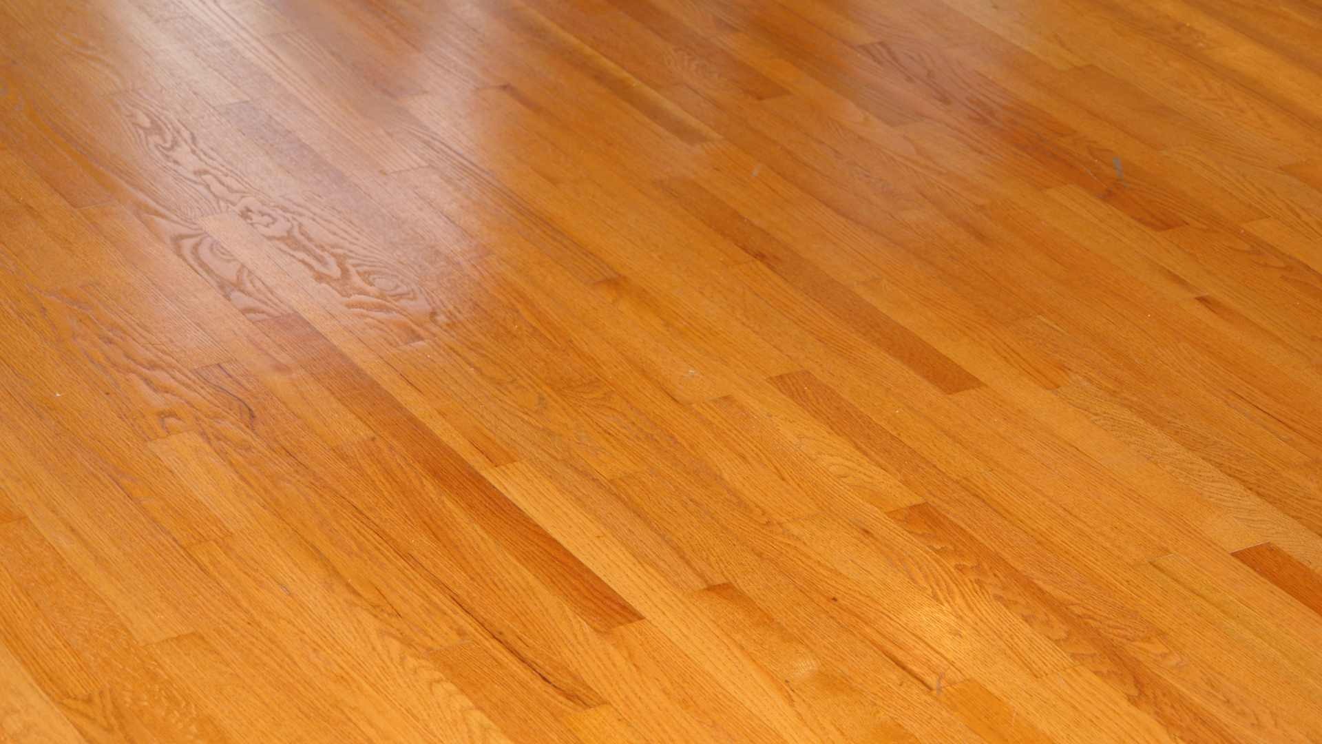Flooring Inspection